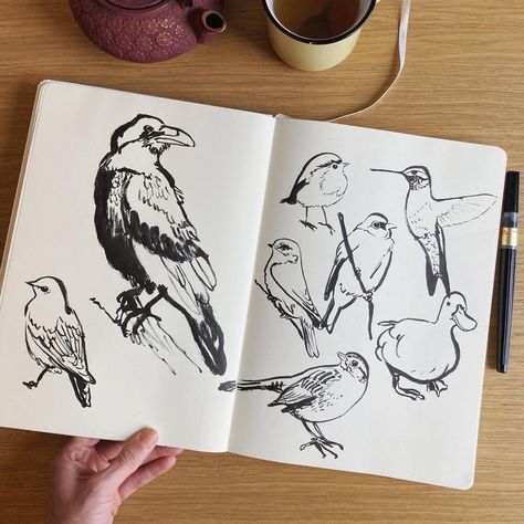 This picture shows an open A4 sketchbook on a table. There are different kind of birds drawn in black ink on the open pages. Sketches Of Birds, Brush Pen Sketch, A4 Sketchbook, Brush Pen Art, Art Notebook, Quick Sketches, Bird Sketch, Pen Illustration, Animal Reference