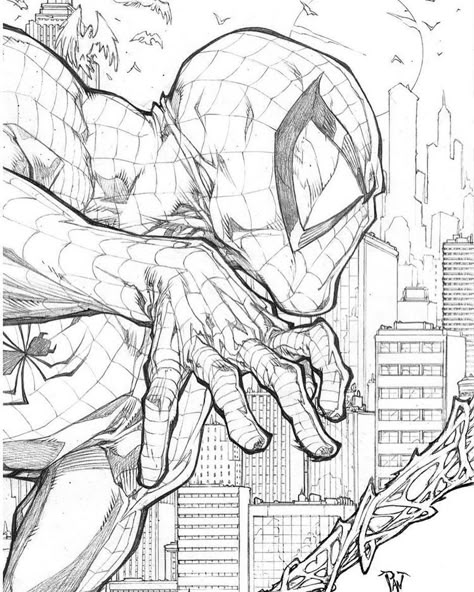 Paolo Pantalena, Tomer Hanuka, Comic Art Sketch, The Amazing Spiderman, Otto Schmidt, Spiderman Drawing, Ultimate Spider Man, Marvel Drawings, Comic Drawing