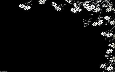 Cover For Twitter, Laptop Wallpaper Cute, Black Desktop Background, Desktop Wallpaper Black, 1366x768 Wallpaper Hd, Pc Desktop Wallpaper, Cute Laptop, Pc Wallpapers, Paper Quilling Flowers