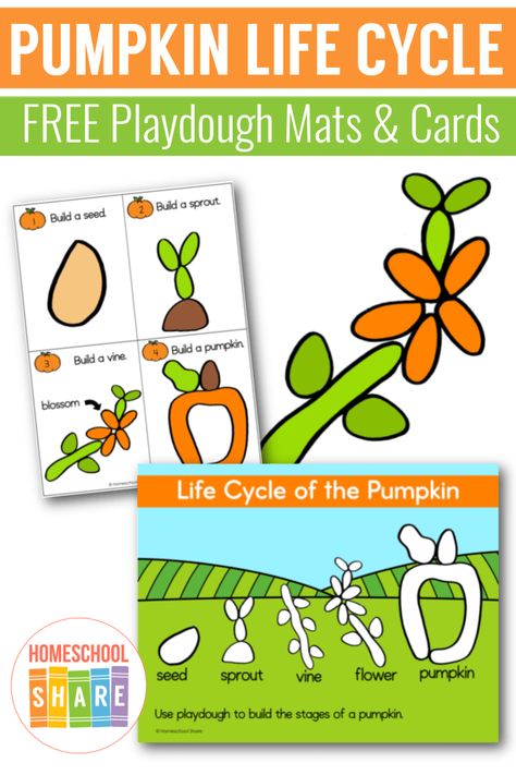 Pumpkin Life Cycle Playdough Mats – Homeschool Share Pumpkin Life Cycle Kindergarten, Life Cycles Preschool Activities, Pumpkin Playdough, Preschool Playdough, Life Cycles Preschool, Pumpkin Science, Apple Life Cycle, Fall Planning, Pumpkin Life Cycle