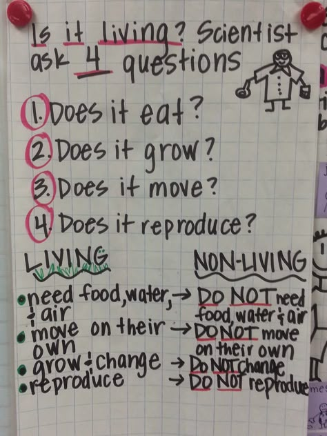 Living Nonliving Anchor Chart, Living Non Living Activities Preschool, Living Vs Nonliving Preschool Activities, Living Vs Non Living Activities Preschool, Living And Nonliving Anchor Chart, Living Nonliving Activities, Living Vs Non Living Anchor Chart, Living And Non Living Things Anchor Chart, Living And Nonliving Preschool