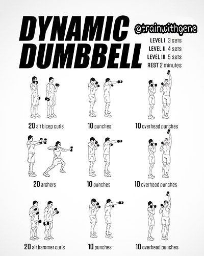 Darbee Workout, Darebee Workout, Dumbbell Workout Plan, Boxer Workout, Arm Workout Men, Dumbbell Workout At Home, Dumbbell Exercises, Dumbell Workout, Bodybuilding Workout Plan