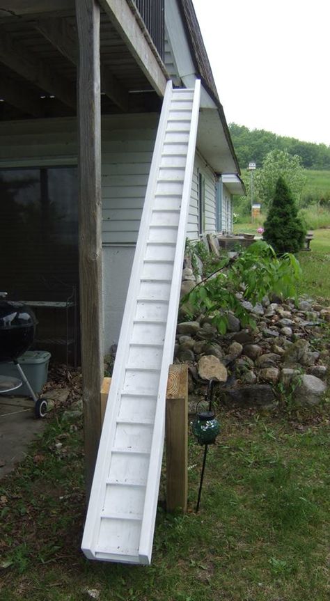 I recently had this cat walk built for my older kitties that have indoor access off the second floor deck. This one goes to the ground, has side rails and 'steps'. What they used before was just a board that was a couple feet off the ground. They love it! Cat Ramp Outdoor, Cat Ladders Outdoor, Dog Ramp For Stairs, Cat Ladders, Cat Ramp, Back Of A Truck, Second Floor Deck, Cat Playground Outdoor, Katt Grejer