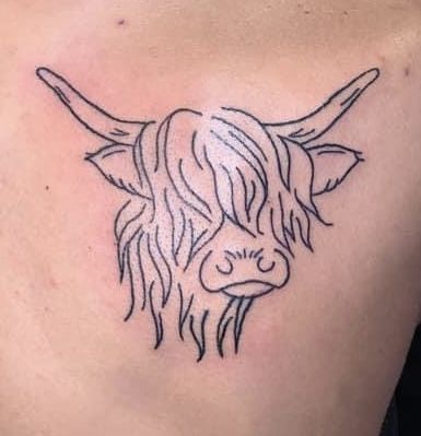 *not my picture* Hairy Cows Scottish Highlands Tattoo, Highland Cow Skull Tattoo, Scottish Cow Tattoo, Highland Cow Tattoo Simple, Highland Cow Tattoo, Cow Skull Tattoos, Cow Tattoo, Scottish Cow, Health Tattoo