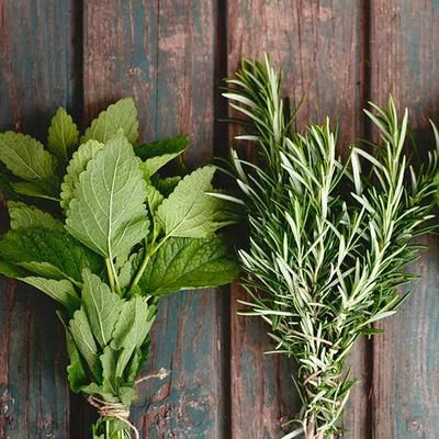 Rosemary Mint Wild Mint, Healing Candles, Energy Candles, Sage Candle, Garden Herbs, Mint Sprig, Fresh Fragrance, Rosemary Mint, Natural Candles