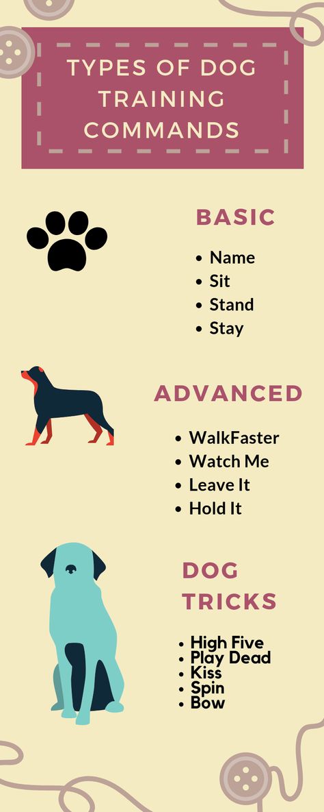 Dog Training Commands, Dog Commands, Dog Minding, Easiest Dogs To Train, Info Graphic, Pack Leader, Dog Hacks, Watching Videos, Types Of Dogs