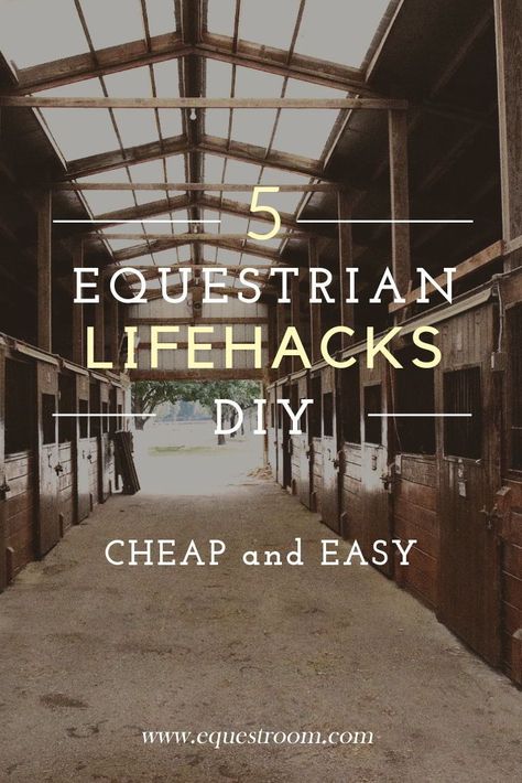 Taking Care Of Horses, Horses Tips, Diy Equestrian, Equestrian Diy, Horses Training, Feeding Horses, Horse Hacks, Farm Tips, Barn Hacks