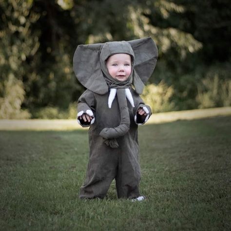 Homemade Elephant Costume, Diy Elephant Costume Kids, Elephant Costume Diy, Toddler Elephant Costume, Kids Elephant Costume, Martin Elias, Baby Elephant Costume, Elephant Halloween, Diy Baby Halloween Costumes