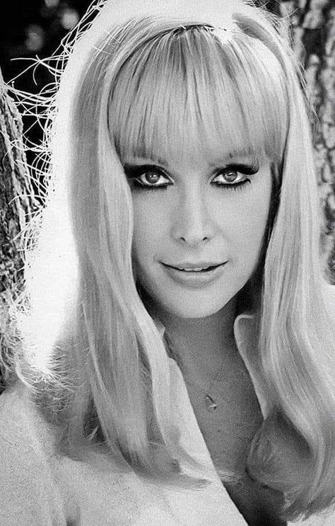 60s Tv Shows, Vintage Celebrities, 60s Tv, Vintage Photography Women, Barbara Eden, I Dream Of Jeannie, Dream Of Jeannie, Star Actress, My Generation