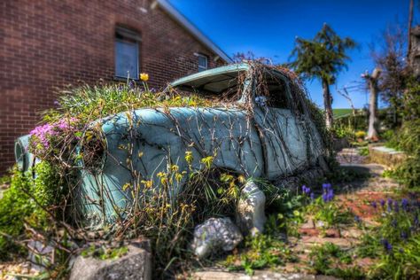 Overgrown Playground, Overgrown Flowers, Overgrown City, Overgrown Plants, Overgrown Garden, Broken Car, Man Vs Nature, Initial Art, Props Concept