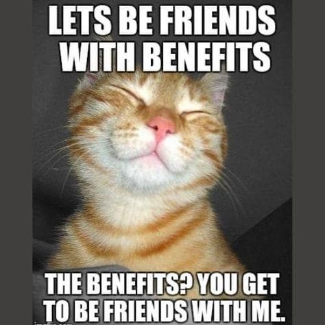 These funny memes on friends are all about laughing with your best friends. Don’t forget to tag your BFF in the fun! Friends With Benefits Humor, Friend With Benefits Humor, In A Bad Mood, Funny Friends, Crush Memes, Friend Memes, Friends With Benefits, Cheer You Up, Bad Mood