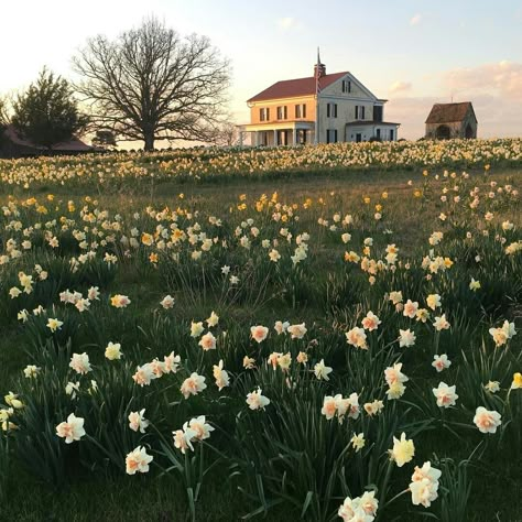 Southern Aesthetic, Farm Aesthetic, Summer Moodboard, Big Farm, Future Farms, Architecture Model Making, Countryside House, Old Farm Houses, Backyard Farming