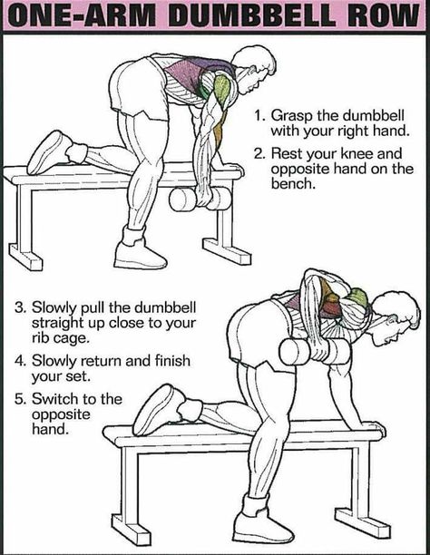 One Arm Dumbbell Row, Dumbbell Row, One Arm Row, Back Training, Burn Fat Build Muscle, Gym Plan, Weight Room, Physical Training, Mustache Men