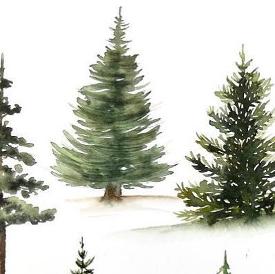 Different Ways To Paint, Painting Trees, Emma Jane, December 16, Evergreen Trees, Love Painting, Tree Painting, Trees, Paint