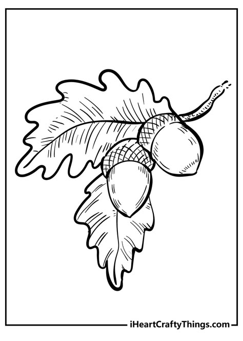 Acorn Clipart Black And White, Acorn Coloring Page, Acorn Sketch, Acorn Line Drawing, Autumn Line Drawing, Acorn Outline, Fall Symbols, Oak Drawing, Acorns Drawing