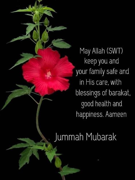 Jumuah Quotes, Jummah Mubarak Messages, Juma Mubarak Images, Jumuah Mubarak Quotes, Jumuah Mubarak, Jumah Mubarak, Jumma Mubarak Beautiful Images, Jumma Mubarak Quotes, Jumma Mubarak Images