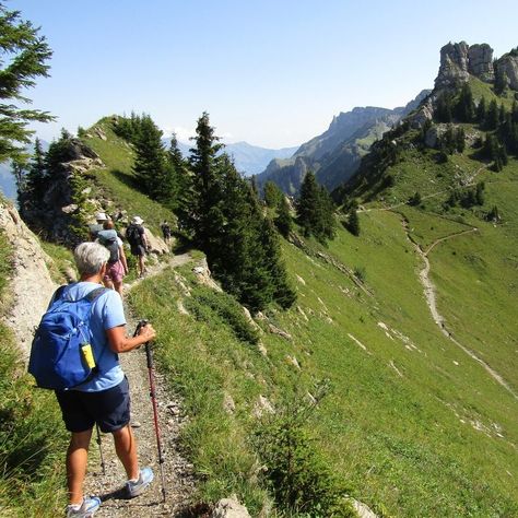 🗻✨ On our Switzerland Hiking Adventure, join a charged-up group of Wild Women eager to tear up some terrain in the face of granite mammoths. We are rewarded with some serious panoramas from the Schynige Platte and Gemmi Plateau. The mighty jagged-tooth Matterhorn straddles the border of Switzerland and Italy, making the region a magnet for hikers who love the punishing ascents and meadows blurred with alpine wildflowers. 🥾 Link in Bio 🔗 Discover Swiss charm like never before. Don't miss out... Alpine Wildflowers, Switzerland Hiking, Hiking Adventure, Wild Woman, The Mighty, Switzerland, Wild Flowers, The Face, Link In Bio