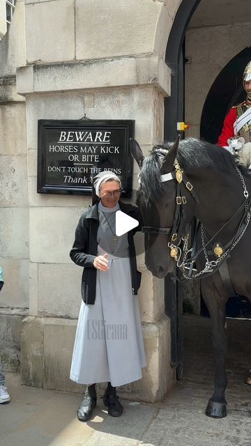 Horse Guards London, Royal Horse Guards, Royal Horse, Cowgirl Horse, Horse Guards, Christmas Horses, Royal Guard, June 19, Cute Funny Animals