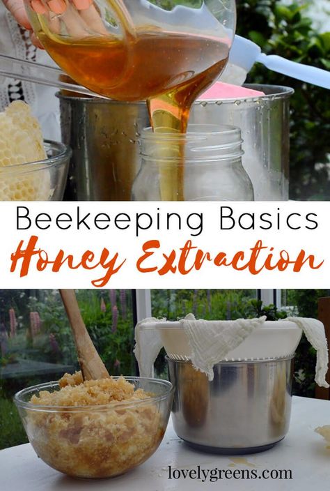 Backyard Bees, Honey Bee Farming, Harvesting Honey, Composting 101, Backyard Bee, Compost Tumbler, Beekeeping For Beginners, Raising Bees, Backyard Beekeeping