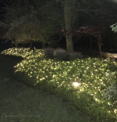 Gardens At Night, Front Yard Lighting, Butchart Gardens, Outdoor Garden Lighting, Yard Lights, Backyard Lighting, Moon Garden, Night Garden, Beautiful Flowers Garden