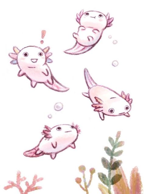 Axolotl Cute, Cute Axolotl, Cute Reptiles, Cute Animal Drawings Kawaii, Cute Kawaii Drawings, Cute Cartoon Drawings, Dessin Adorable, Cute Little Drawings, Cute Animal Drawings