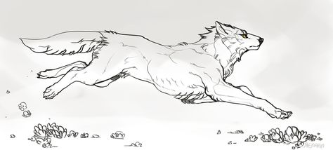 (prize) Kiba by Remarin on DeviantArt Wolf Sketch Reference, Wolf Running Reference, Running Wolf Drawing, Wolf Pups Drawing, Wolves Running Drawing, Wolf Poses, Wolf’s Rain, Wolf Sketch, Canine Drawing