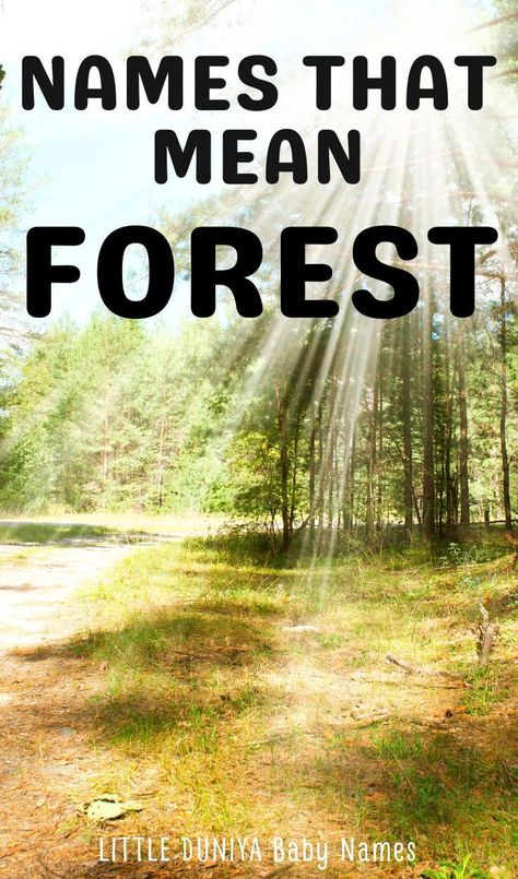 Names That Mean Forest (For Girls & Boys) Rustic Boy Names, Vintage Boy Names, Strong Baby Names, Uncommon Baby Names, Traditional Baby Names, Rare Baby Names, Unusual Baby Names, Cool Baby Names