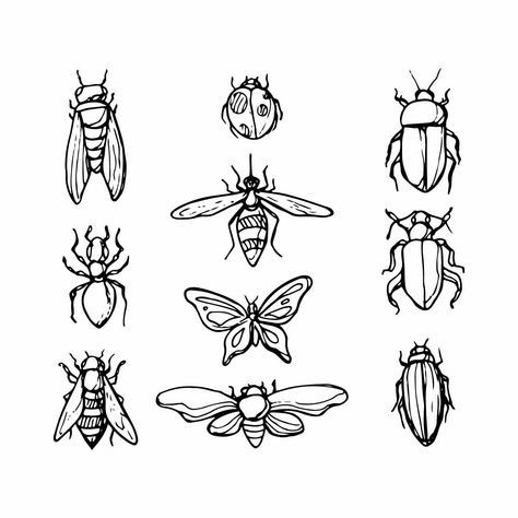 Insect Drawing Aesthetic, Insect Drawing Sketchbooks, Insects Doodle, Insect Template, Insects Sketch, Bug Sketches, Insects Drawings, Bug Doodles, Insect Drawings