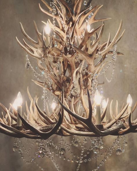 Stagridge on Instagram: “Adding just the right amount of sparkle to your week! This antler chandelier adorned with crystals is making our week! ✨✨ Let us know today…” Antler Ideas, Antler Wedding, Antler Art, Antler Chandelier, Wedding Chandelier, Crystal Chandelier Lighting, Deer Skulls, Chandelier Design, Crystal Chandelier