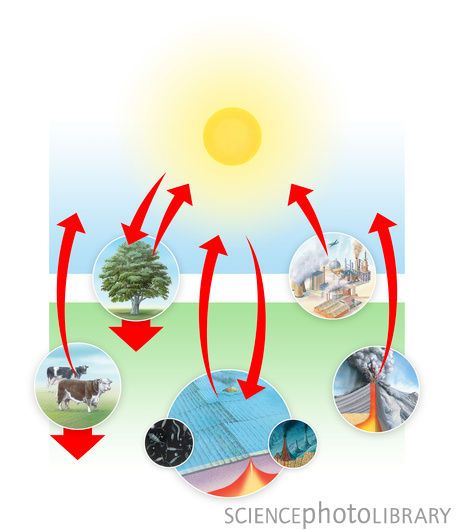 Carbon cycle  Credit: GARY HINCKS/SCIENCE PHOTO LIBRARY    Caption: Carbon cycle. Artwork illustrating the global carbon cycle. Carbon is stored in the Earth's biosphere (flora, fauna, soil and freshwater), geosphere (geological store), hydrosphere (oceans) and atmosphere. It is exchanged between these reservoirs by biological, chemical and physical processes (indicated by arrows). The global carbon budget is the balance between the carbon reservoirs. Science Pictures, Cycle Design, Carbon Cycle, Science Photos, Flora Fauna, Small Garden Design, Teaching Science, Earth Science, 6th Grade