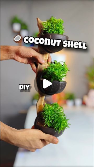 Coconut Shell Crafts Diy, Coconut Shell Art, Coconut Decoration, Bappa Photo, Food Tiktok, Pot Diy, Coconut Shell Crafts, Diy Coconut, Coconut Leaves