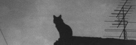 Black Cat Discord Banner, Gray Banner Aesthetic, Black And Grey Header, Grey Banner Aesthetic, Dark Gray Header, Black Cat Header, Gray Aesthetic Pfp, Grey Aesthetic Banner, Gray Aesthetic Header