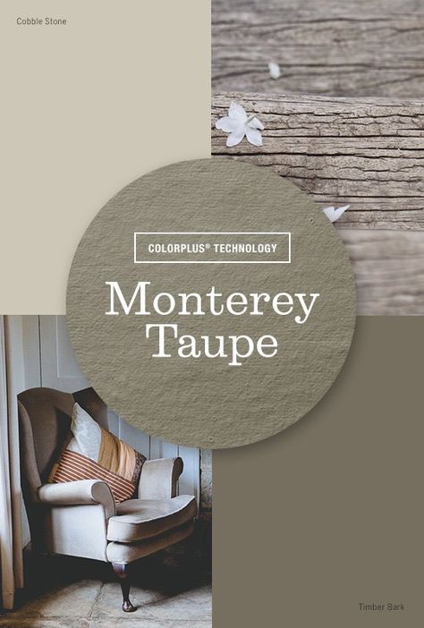 Versatile Monterey Taupe! House Siding Colors, James Hardie Siding Colors, Siding Colors For Houses, Hardie Board Siding, Outside House Colors, Exterior House Siding, Hardie Board, James Hardie Siding, Taupe Paint