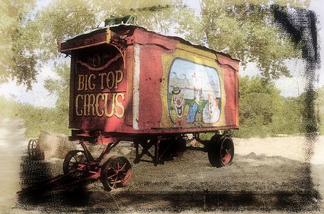 Fairy Caravan, Haunted Circus, Vintage Circus Theme, Dark Carnival, Haunted Carnival, Big Top Circus, Circus Aesthetic, Circus Decorations, The Descendants