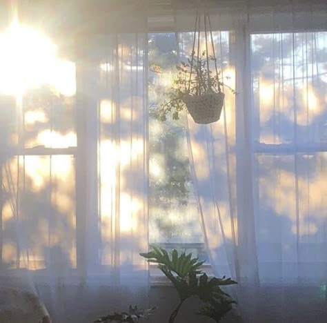 Ombres Portées, The Curtains, Arte Inspo, Through The Window, Morning Light, Nature Aesthetic, Blue Aesthetic, Aesthetic Photo, The Window