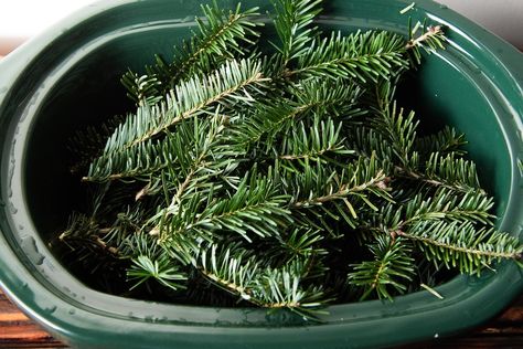 6 Ways to Upcycle Your Christmas Tree Needles How To Upcycle Old Christmas Tree, Uses For Cedar Branches, Leftover Christmas Tree Trimming Ideas, Christmas Tree Upcycle, Pine Tree Uses, Upcycle Artificial Christmas Tree, Repurpose Christmas Tree, Recycle Christmas Tree, Pine Tree Craft