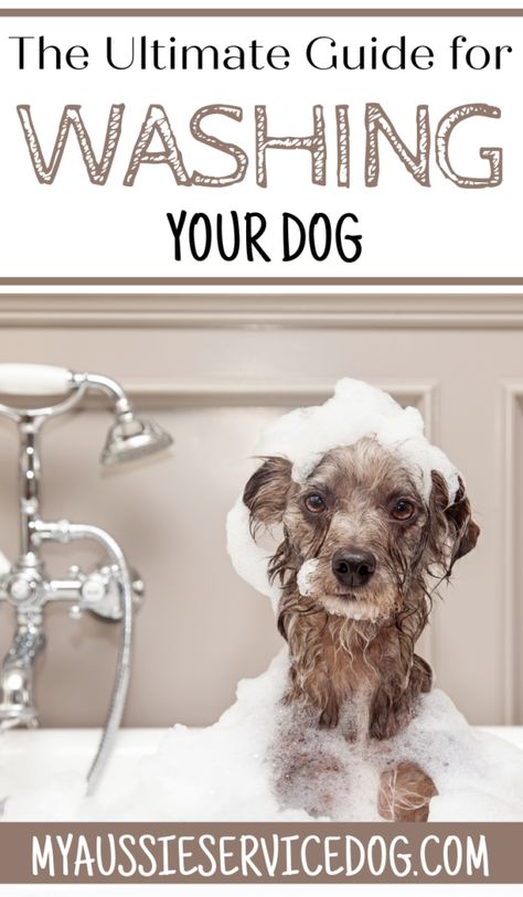 I know – what a bold claim to make! While we are going to talk about how to give your pup a bath, we are also sharing our Oatmeal Dog Shampoo recipe – as it is the best puppy shampoo I know! #dogshampoo #dogwashing #petshampoo #shampoo Bath Tips, Dog Running, Dog Minding, Training Dogs, Harness Dog, Running Dog, Dog Grooming Tips, Easiest Dogs To Train, Dog Health Tips