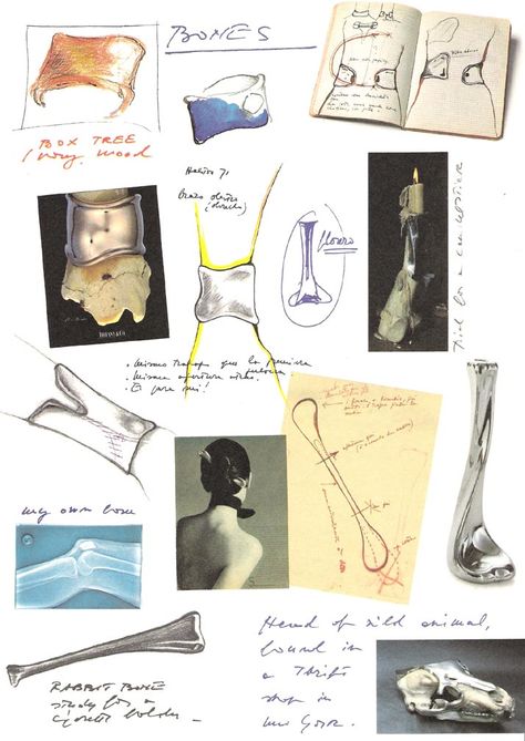 Elsa Peretti Tiffany, Bone Cuff, Study Interior Design, Out Of The Blue, Jewelry Drawing, Jewellery Sketches, Elsa Peretti, Design Sketch, Beautiful Creatures