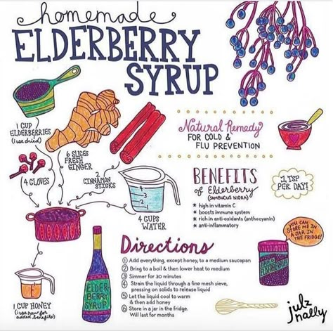 Homemade Elderberry Syrup, Elderberry Syrup Recipe, Homemade Elderberry, Herbal Remedies Recipes, Medical Herbs, Elderberry Syrup, Herbal Recipes, Herbal Apothecary, Herbal Healing