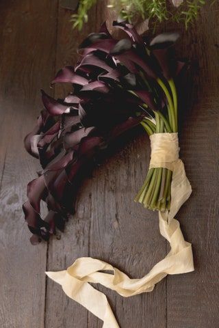 This Gothic Bride Wore Off-the-Runway Rodarte for Her Dracula-Meets-Amalfi Coast Wedding in Los Angeles Lilly Bouquet Wedding, Purple Calla Lilies Wedding, Gothic Wedding Decorations, Unusual Wedding Bouquets, Calla Lily Bouquet Wedding, Gothic Flowers, Calla Lily Bouquet, Gothic Bride, Amalfi Coast Wedding