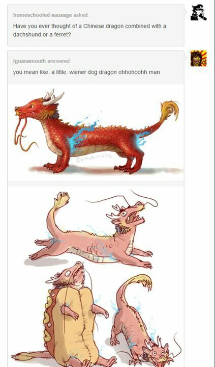 Weiner dragons. Funny Dragon Drawing, Chinese Dragon Drawing, Dragon Dog, Dragon Funny, Magnum Opus, Wiener Dog, Dragon Art, Mulan, Creature Art