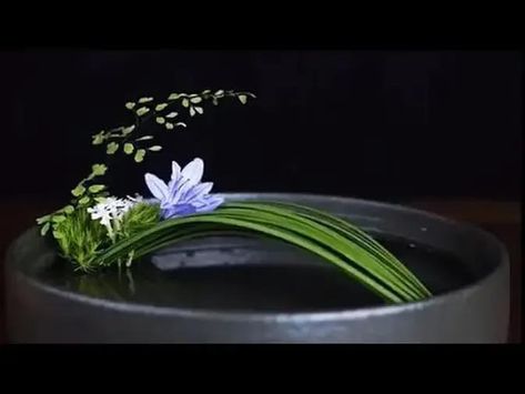 Japanese Floral Arrangements Ikebana, Ikebana Tutorial How To Make, Ikebana Sogetsu Ideas, Japanese Flower Arrangement Ikebana, Orchid Ikebana, Ikebana Flower Arrangement Art Floral, Kenzan Flower Arrangement, Cute Flower Arrangements, Modern Flower Arrangements Unique Floral Design