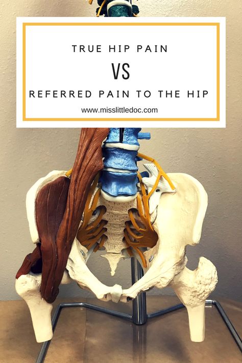 True Hip Pain Vs Referred Pain to the Hip Bursitis Hip, Referred Pain, Hip Pain, Back Pain, Massage, Things To Come