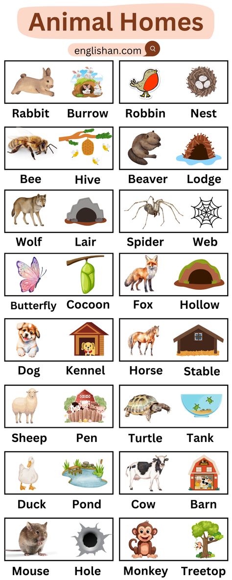 Animals and Their Homes Names Animals And Their Homes Worksheets, Animals And Their Babies, Animals And Their Homes, Animals Name In English, Animal Infographic, English Learning Books, English Grammar Book, English Activities For Kids, College Education