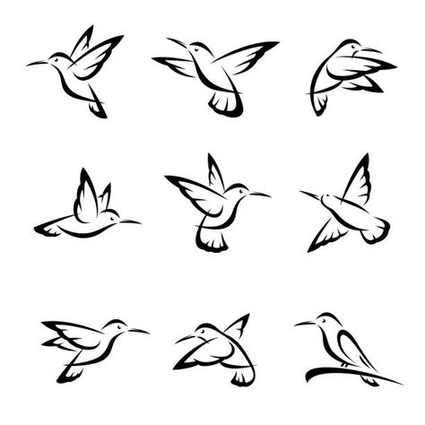 67,109 Pics Of Simple Hummingbird Tattoo Illustrations & Clip Art - iStock Small Hummingbird Tattoo, Butterfly Tattoos Images, Hummingbird Drawing, Silhouette Sketch, Ribbon Tattoos, Silhouette Tattoos, Line Art Vector, Old School Tattoo Designs, Simple Line Drawings