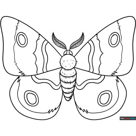 Free Moth Coloring Page for Kids Popular Cartoons, Printable Coloring Sheets, Coloring Tutorial, Drawing Tutorial Easy, Guided Drawing, Free Printable Coloring, Free Printable Coloring Pages, Kids Entertainment, Step By Step Drawing