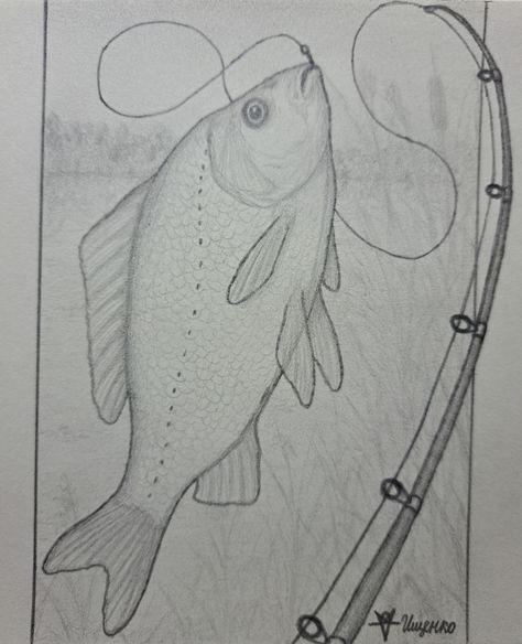 Crucian Carp Fishing. Sketch for the painting. Pencil. By Alexandr Iscenco aka Shurik the Creator. Fishing Drawing Ideas, Carp Drawing, Fishing Sketch, Artwork Sketches, Painting Pencil, Fish Drawings, Carp Fishing, Sea Animals, Carp