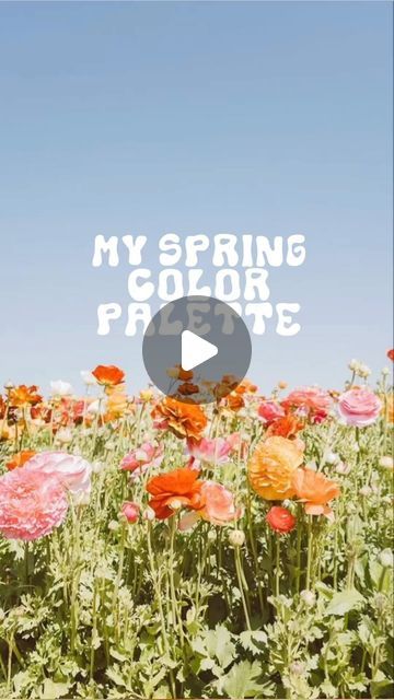 221 likes, 4 comments - doodlebymeg on March 1, 2024: "My spring color palette 🌸🍑🌼🍐🦋🌥️ . . . #colorpalette #colorpalettes #colorpale..." Spring Color Palette, Spring Color, March 1, Spring Colors, Aesthetic Fashion, Spring Flowers, Color Palette, Doodles, On Instagram