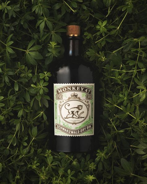 Cocktail of the Week: Monkey 47’s ‘Master of the Forest’ Martinez Cocktail, Monkey 47, Sweet Woodruff, Gin Recipes, Orange Twist, Dry Gin, White Horses, Christmas 2023, White Horse