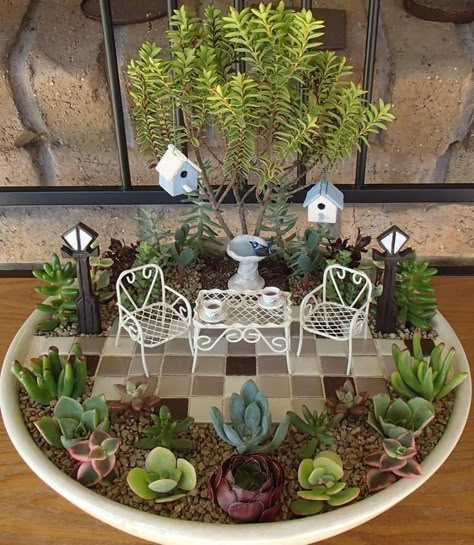 Fairy Garden Succulents, Indoor Fairy Gardens Diy, Miniature Gardens Design Ideas, Succulent Fairy Garden, Miniature Fairy Garden Diy, Miniature Garden Design, Diy Miniature Garden, Garden Ideas Indoor, Mini Succulent Garden